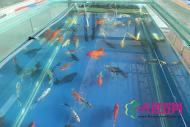 所有产品